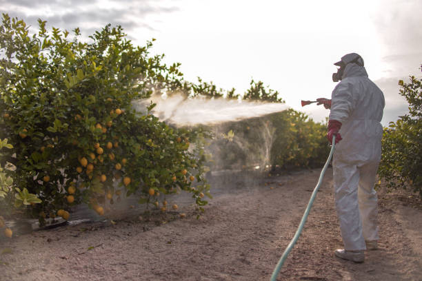 Best Commercial Pest Control Services  in Foley, MN